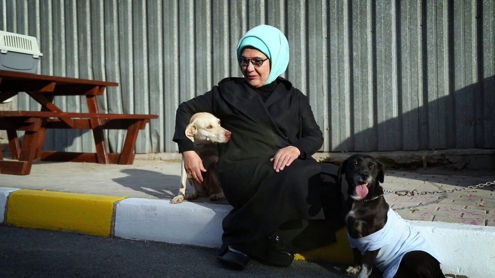 Emine Erdoğan, barınaktaki ’Leblebi’ isimli engelli köpeği sahiplendi